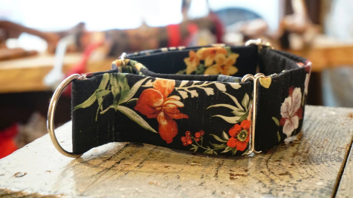 Unique collar for dogs