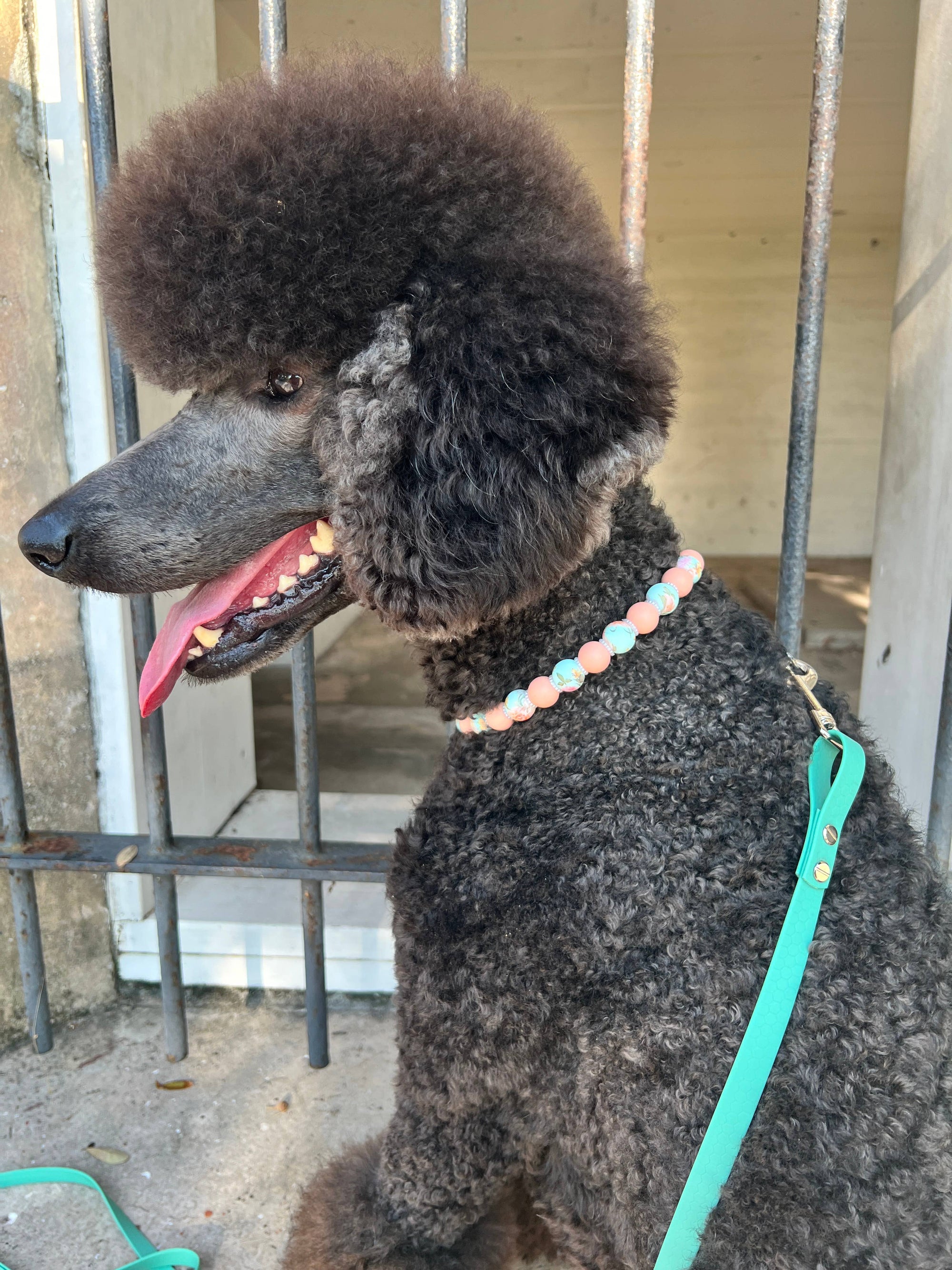 1930's Posies | Beaded Dog Necklace