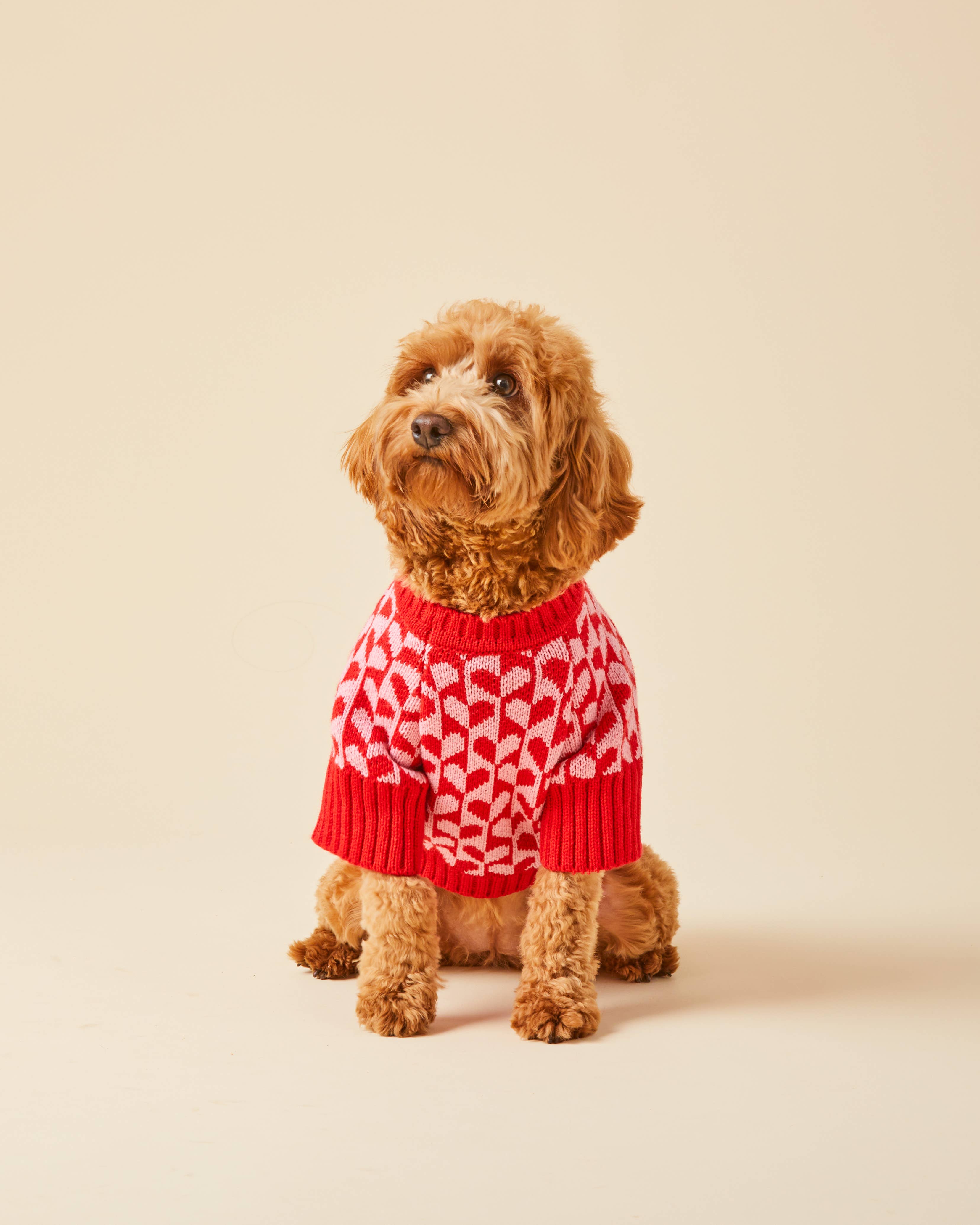 Heart Stripe Valentine's Day Dog Sweater