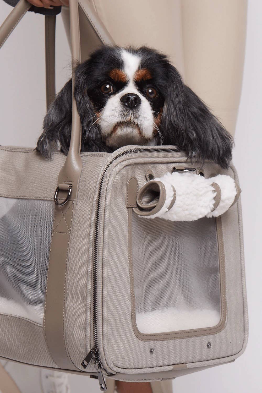 Global Citizen Pet Carrier Bag for Dogs