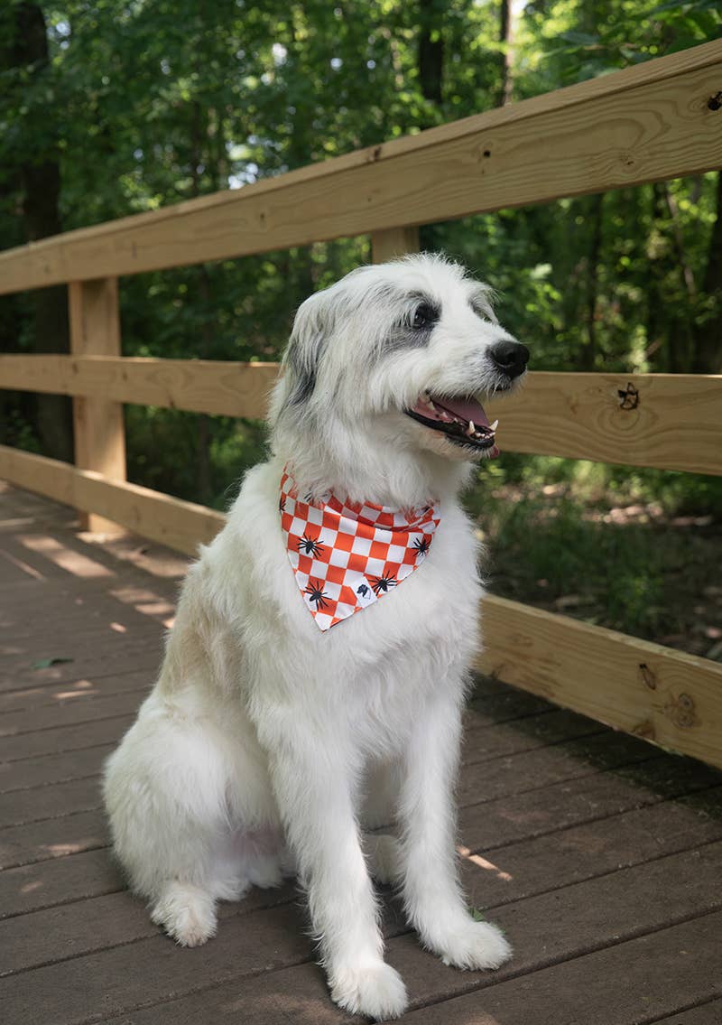 Halloween Plaid Dog Bandana