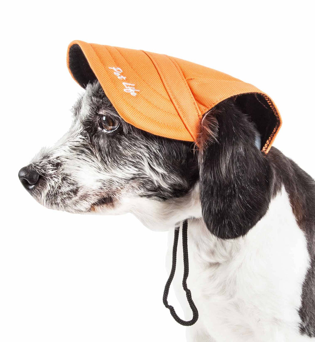 Black Dog Hat