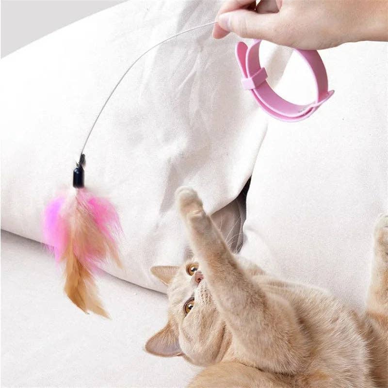 Interactive Cat Toys