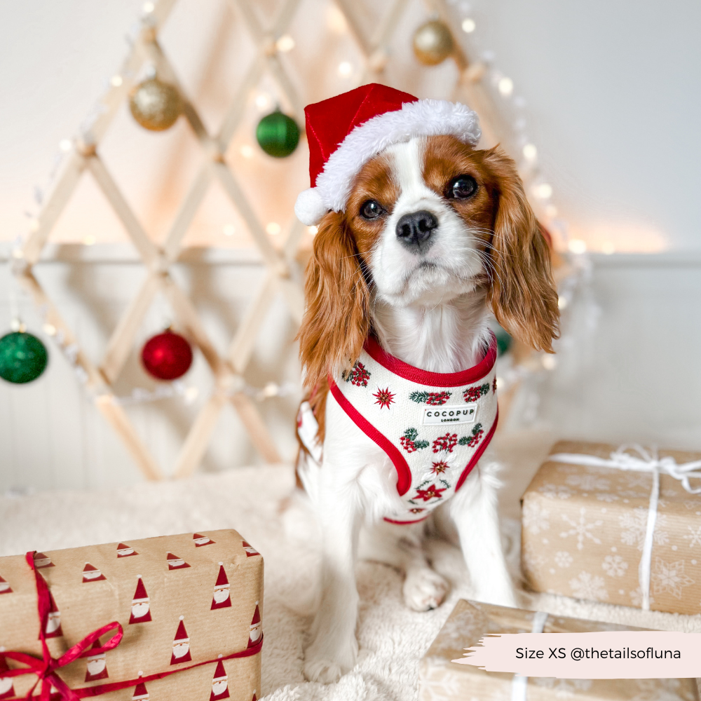 LUXE Embroidered Frosty Flower HARNESS