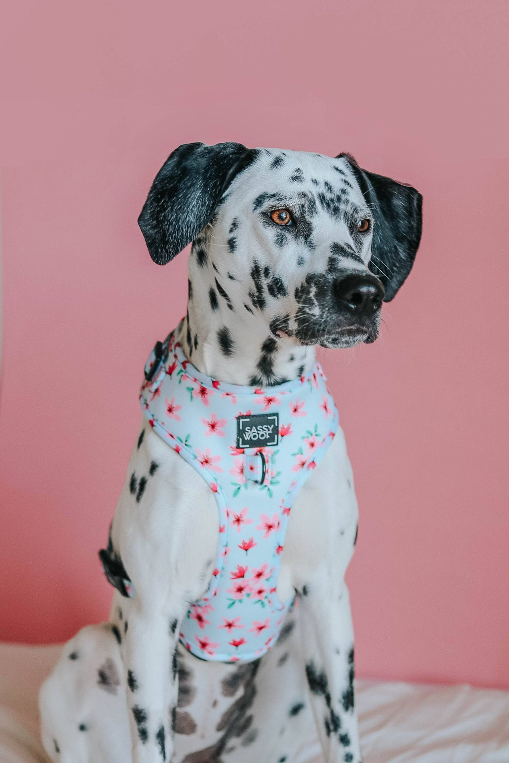 Dog Adjustable Harness - Sakura