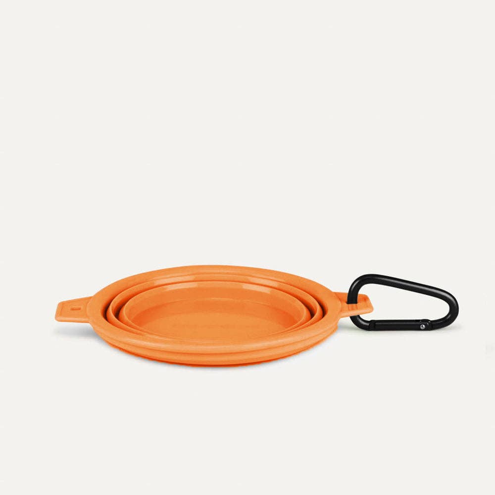 Desert Tones Travel Collapsible Pet Bowl with Carabiner Clip