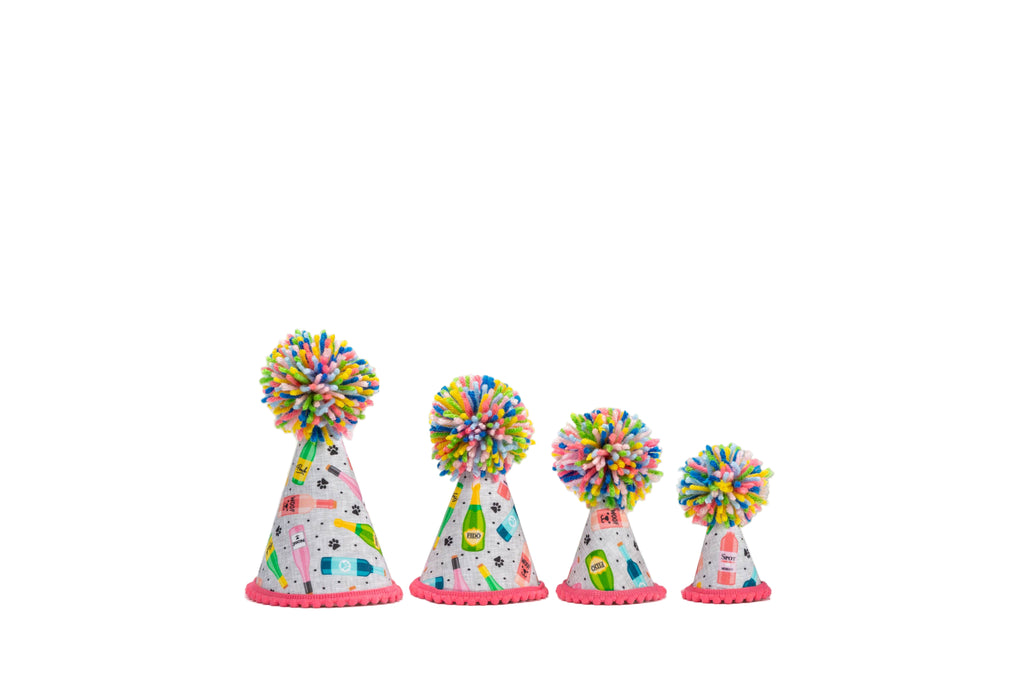 Mutt Mixer Party Hat