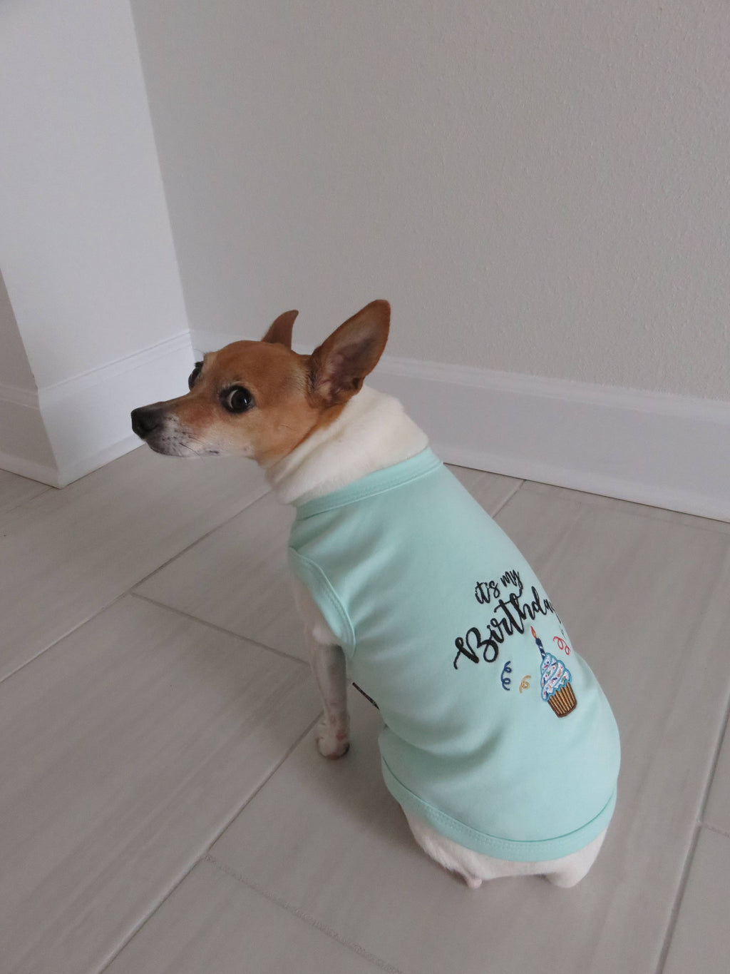 Birthday Boy Dog T-Shirt – Cute & Festive Apparel for Pups