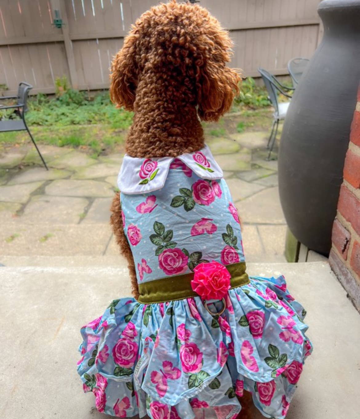 Pink Rose Dog Harness Dress w/ Matching Leash
