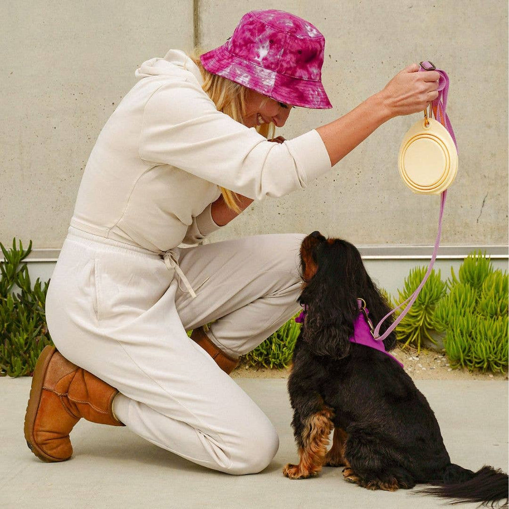 Travel Collapsible Double Pet Bowl with Clip
