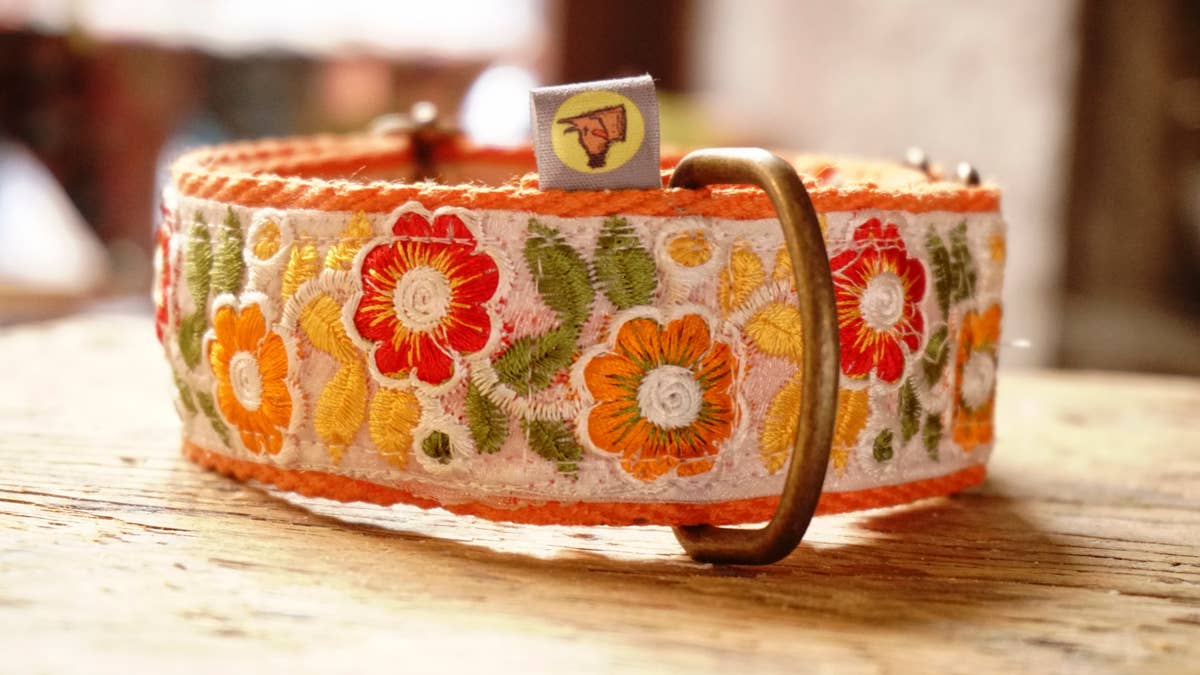 orange collar with floral design