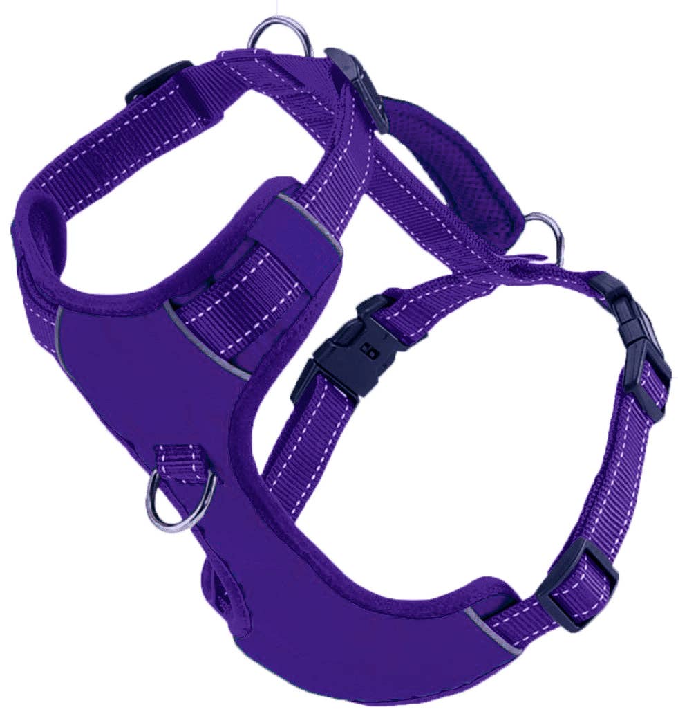 Chesapeake Bay Dog Harness