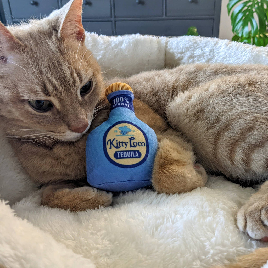 Kitty Loco Tequila Cat Toy