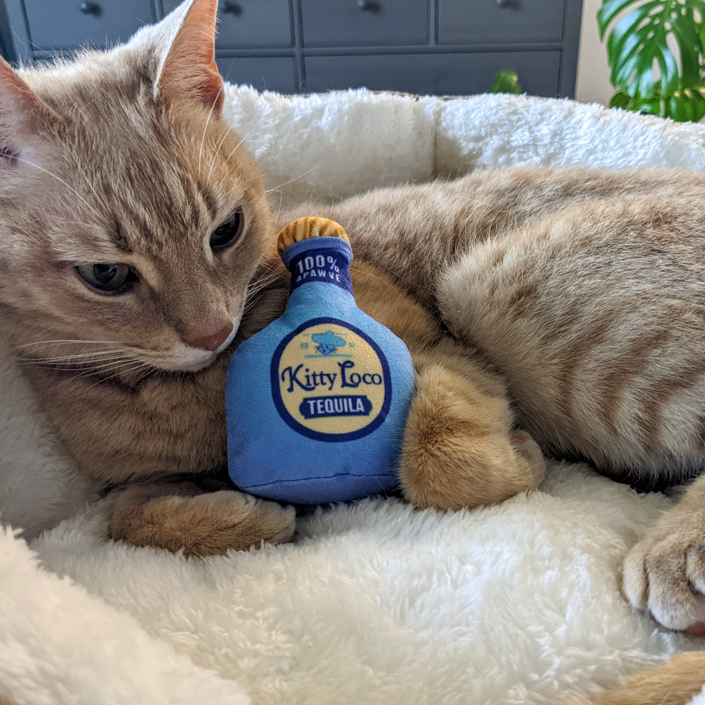 Kitty Loco Tequila Cat Toy