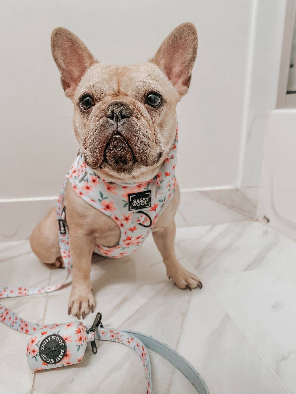 Dog Adjustable Harness - Sakura