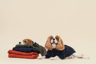 LAPEL CARDIGAN SWEATER