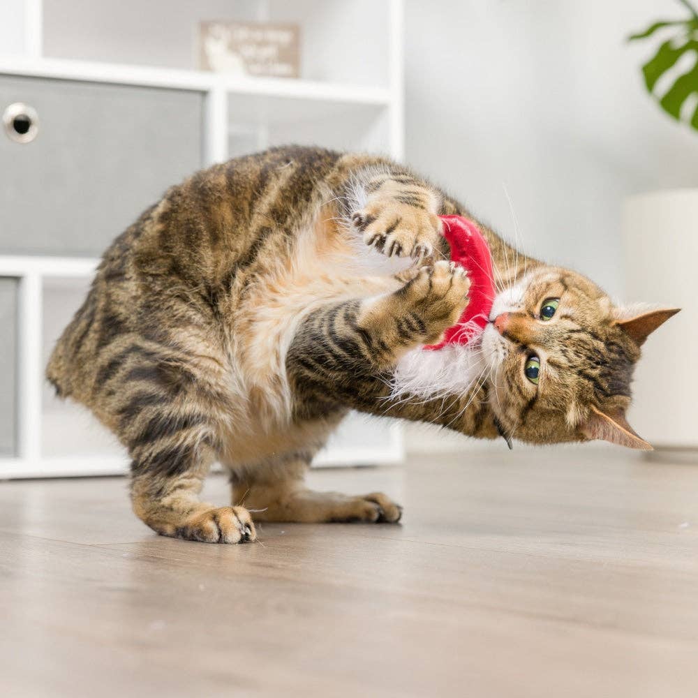 Santa Hat & Sweet Thing Candy 2pk For Cats