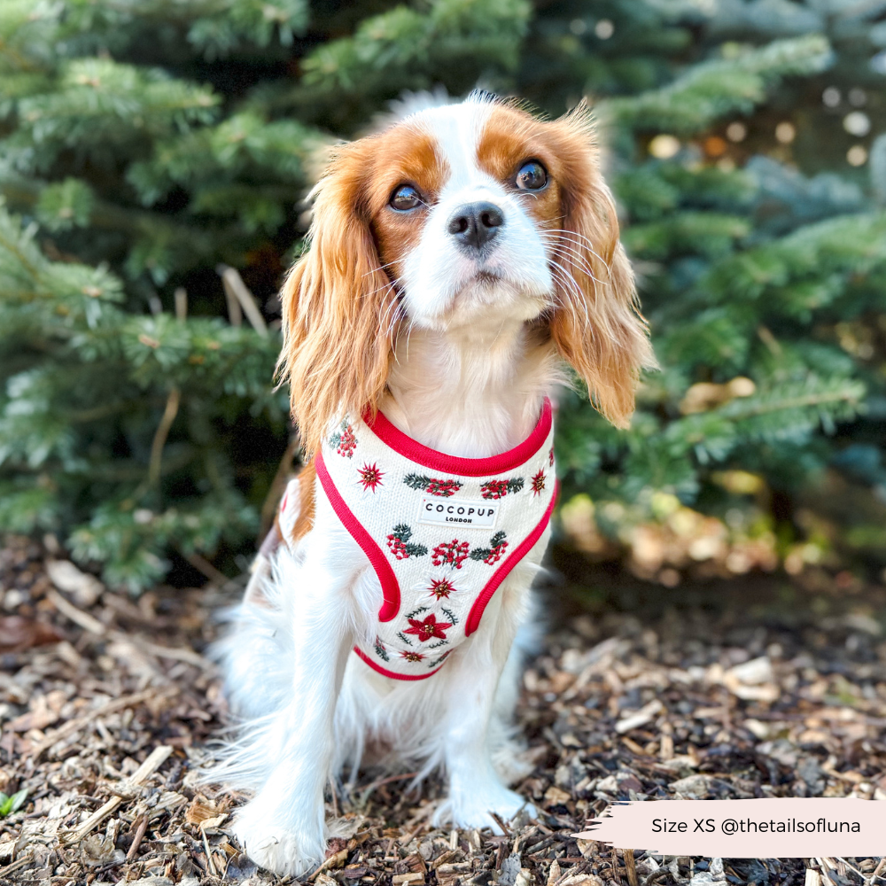 LUXE Embroidered Frosty Flower HARNESS