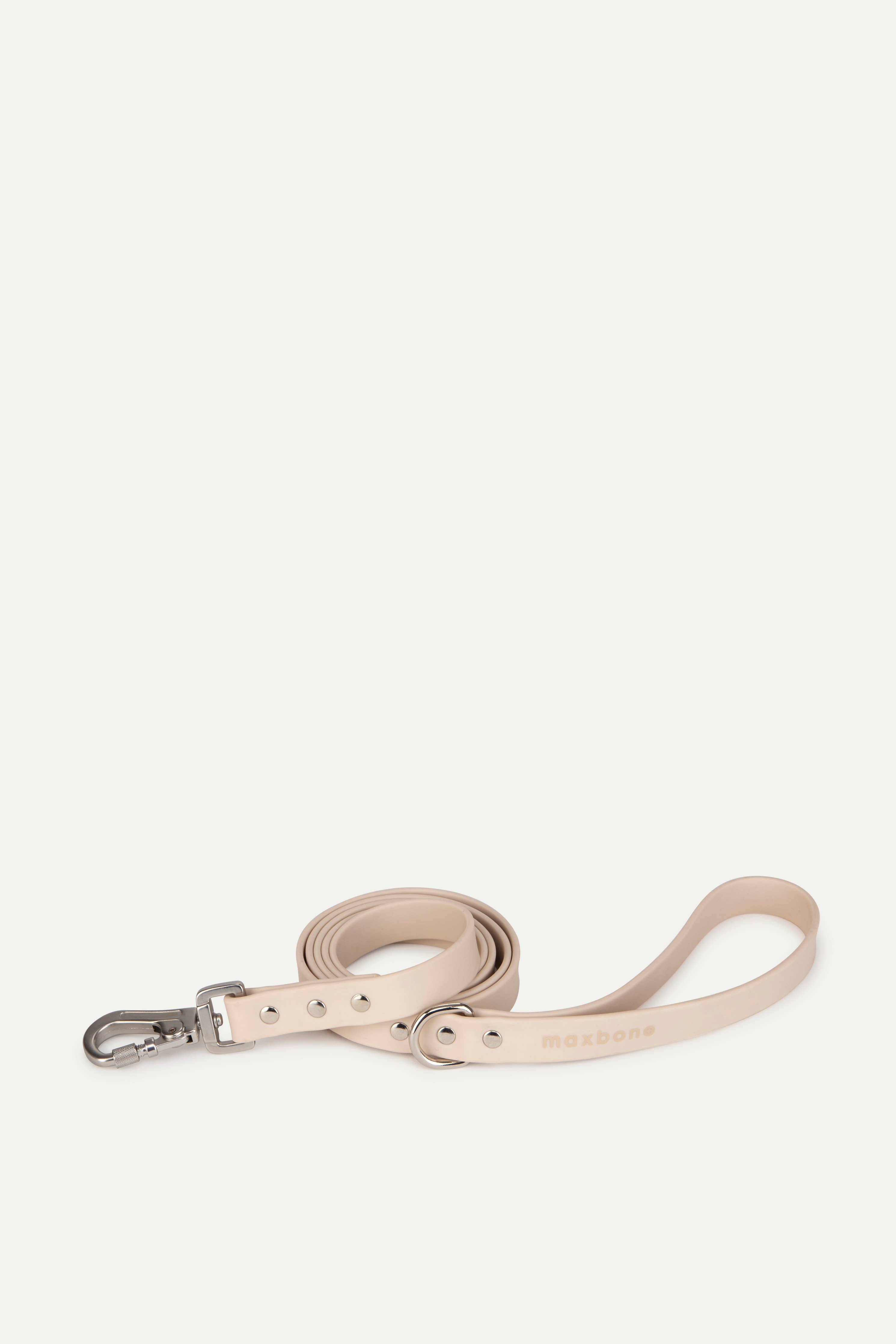 Sand Leash for Dogs