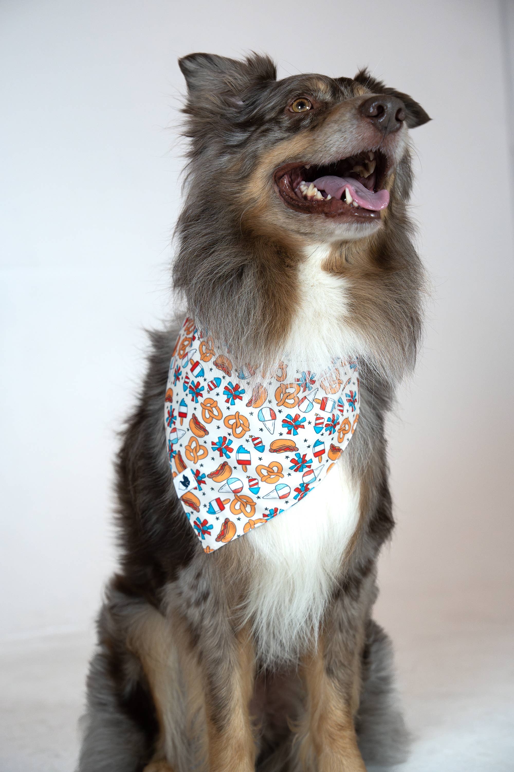 Patriotic Summer Dog Bandana