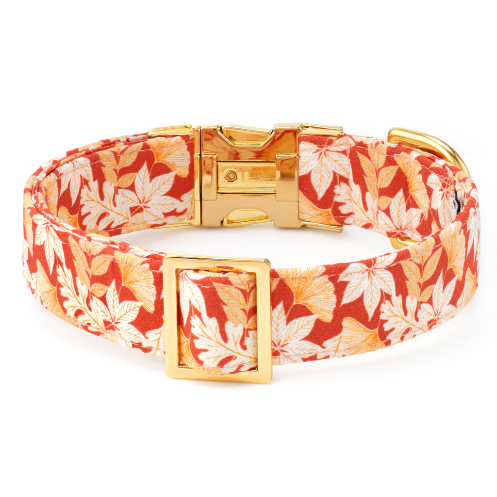 Autumn Leaves Rust Fall Dog Collar