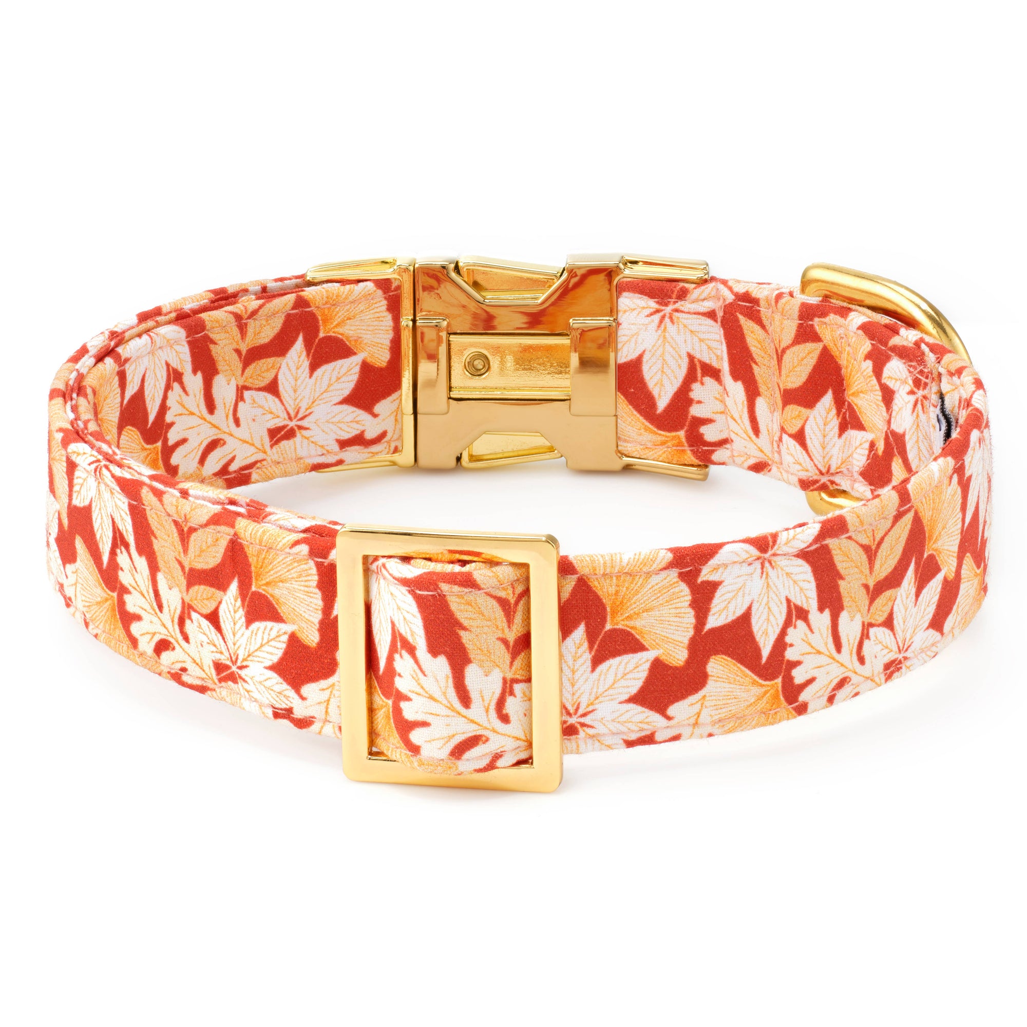 Autumn Leaves Rust Fall Dog Collar