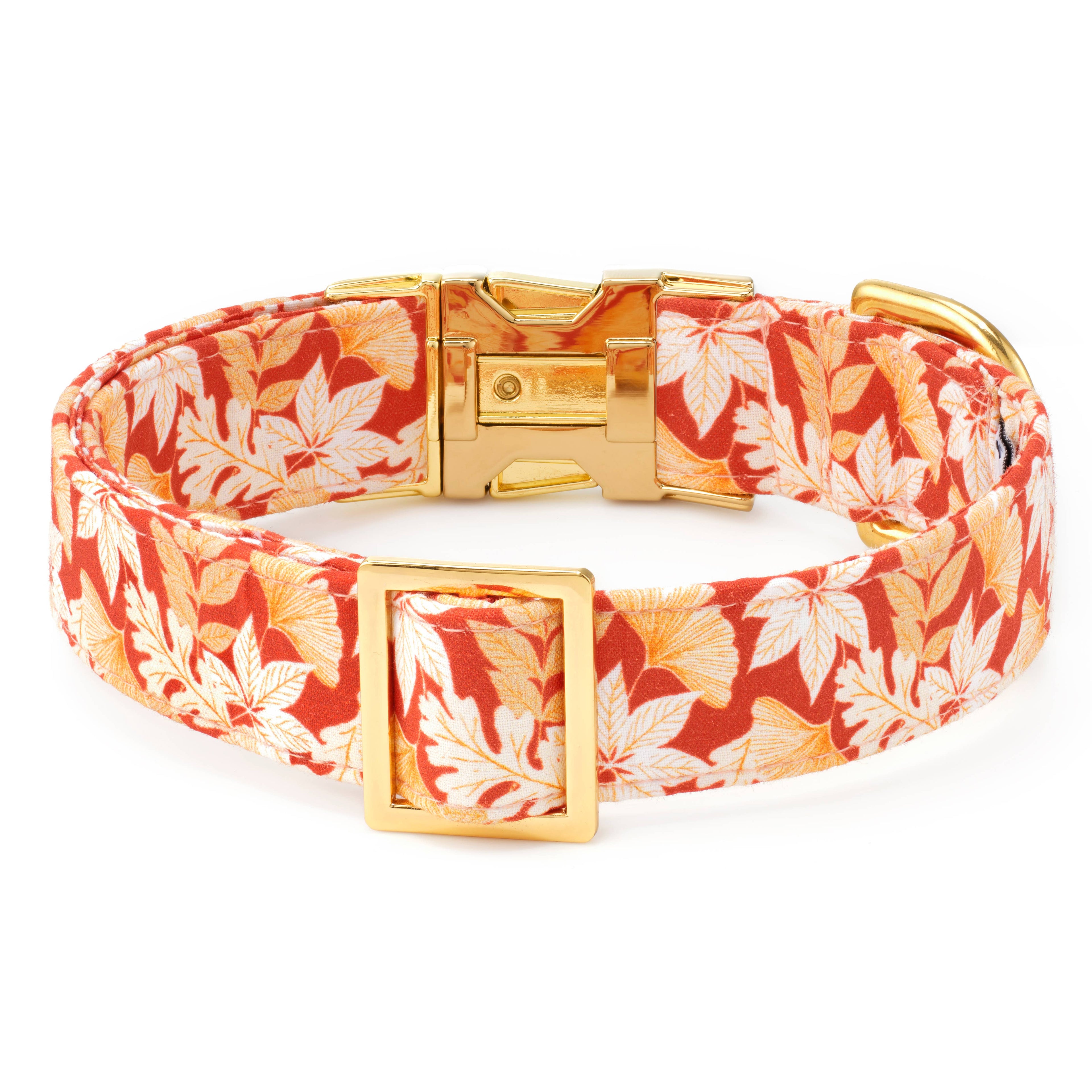 Autumn Leaves Rust Fall Dog Collar