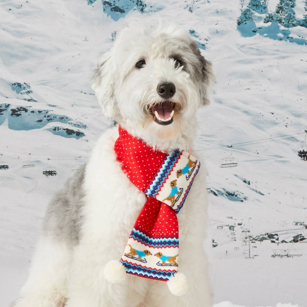 Knit Holiday Dog Scarf Foggy Dog