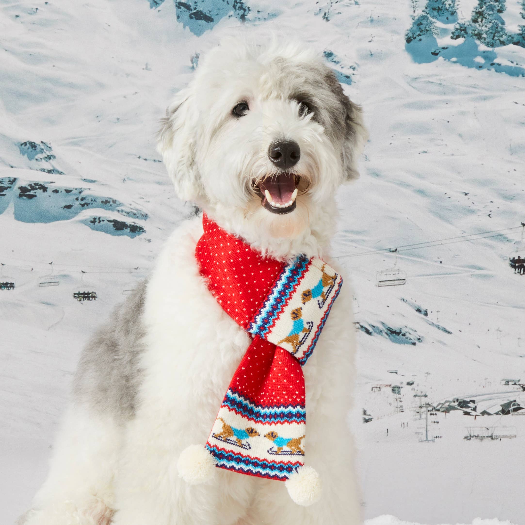 Knit Holiday Dog Scarf Foggy Dog