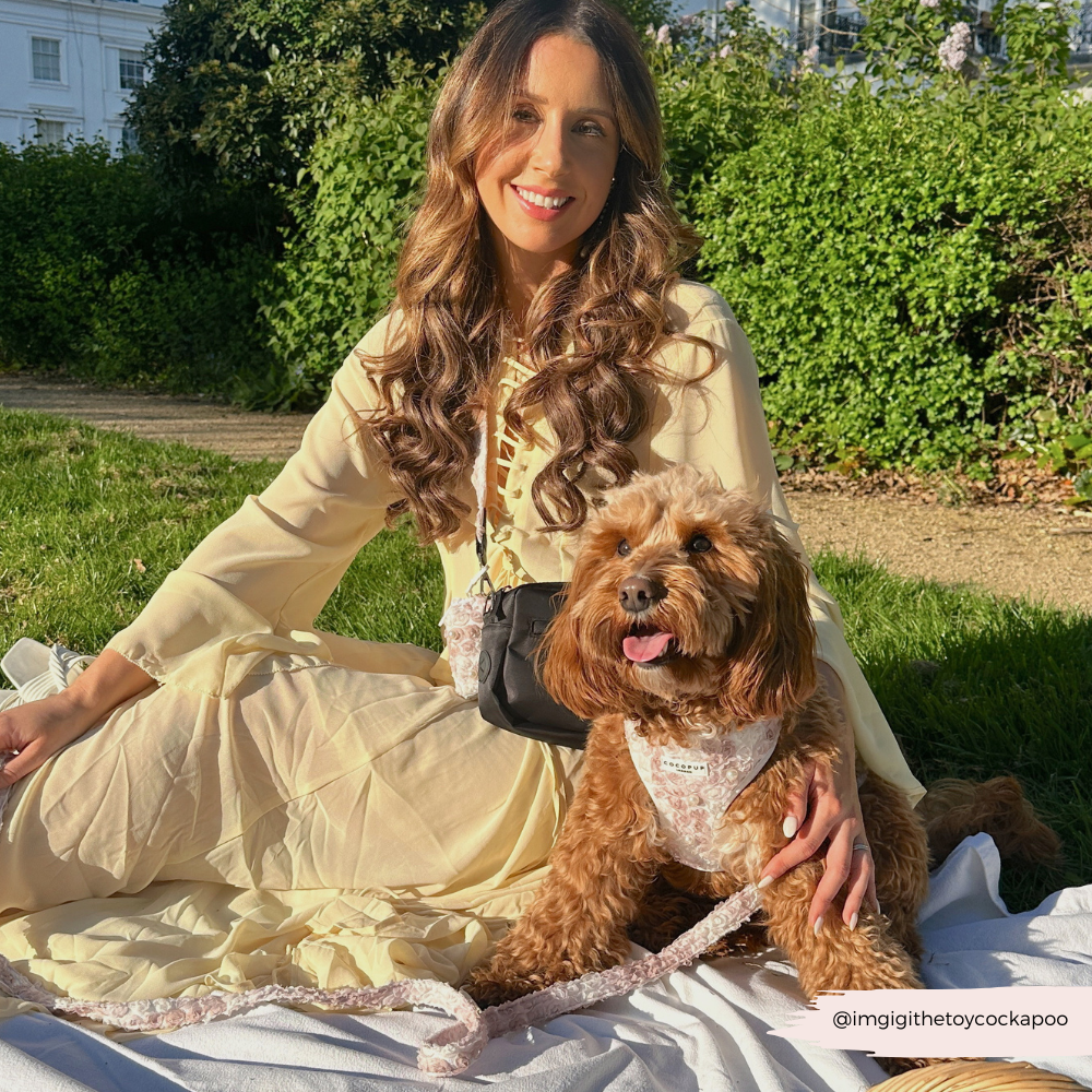 Pearly Pup Adjustable Neck HARNESS