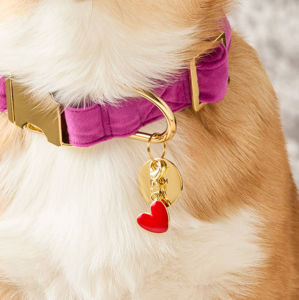 Red Heart Collar Charm