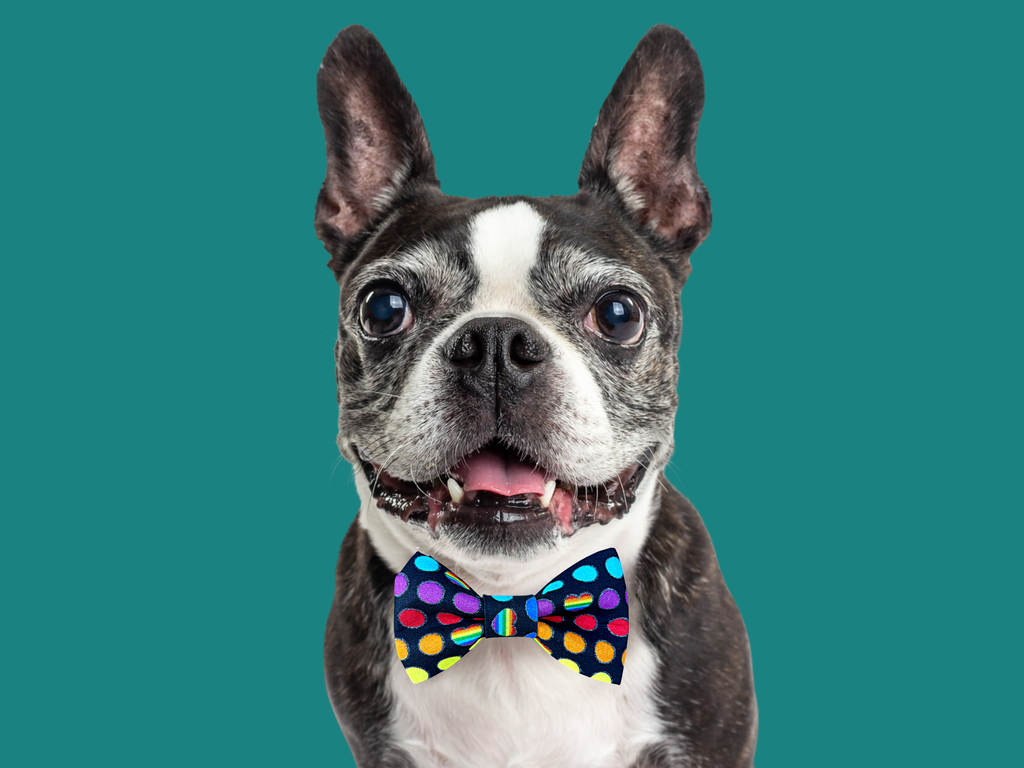 Pride Polka Dots Bow Tie
