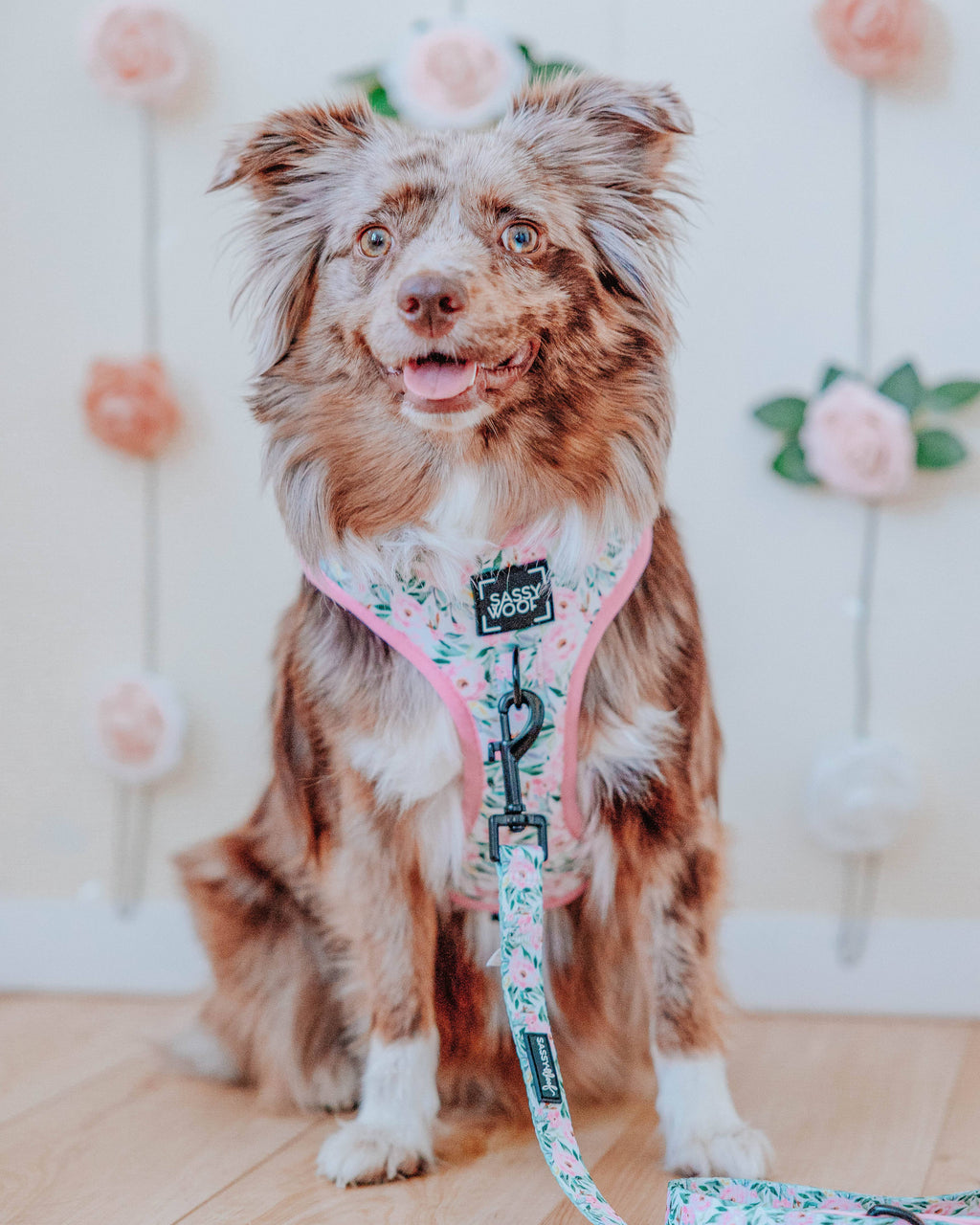 Dog Adjustable Harness - Magnolia