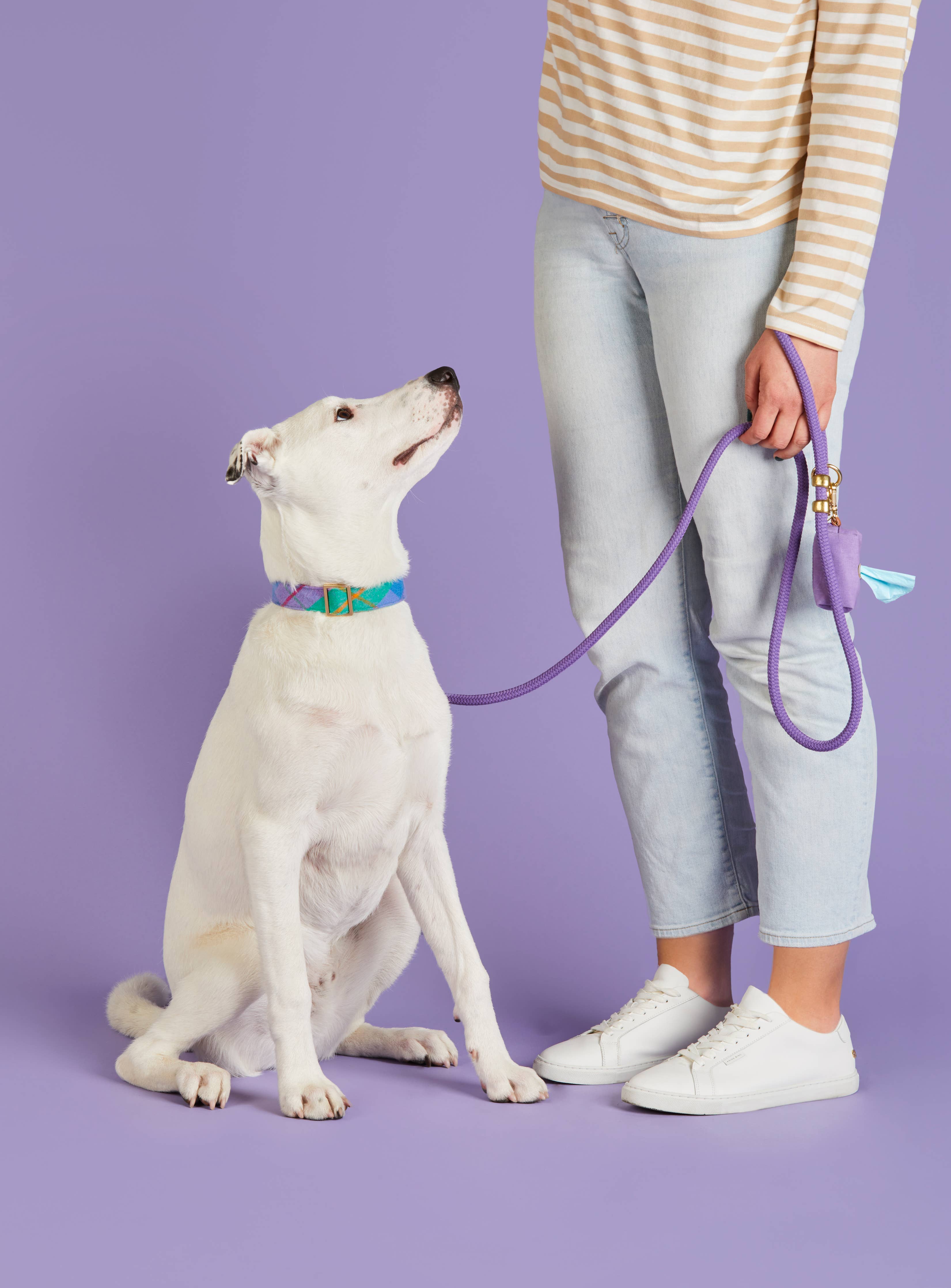 Violet Waxed Canvas Poop Bag Dispenser