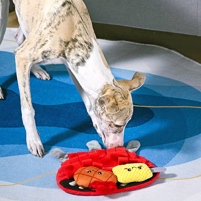 BBQ Grill - Dog Plush Toy