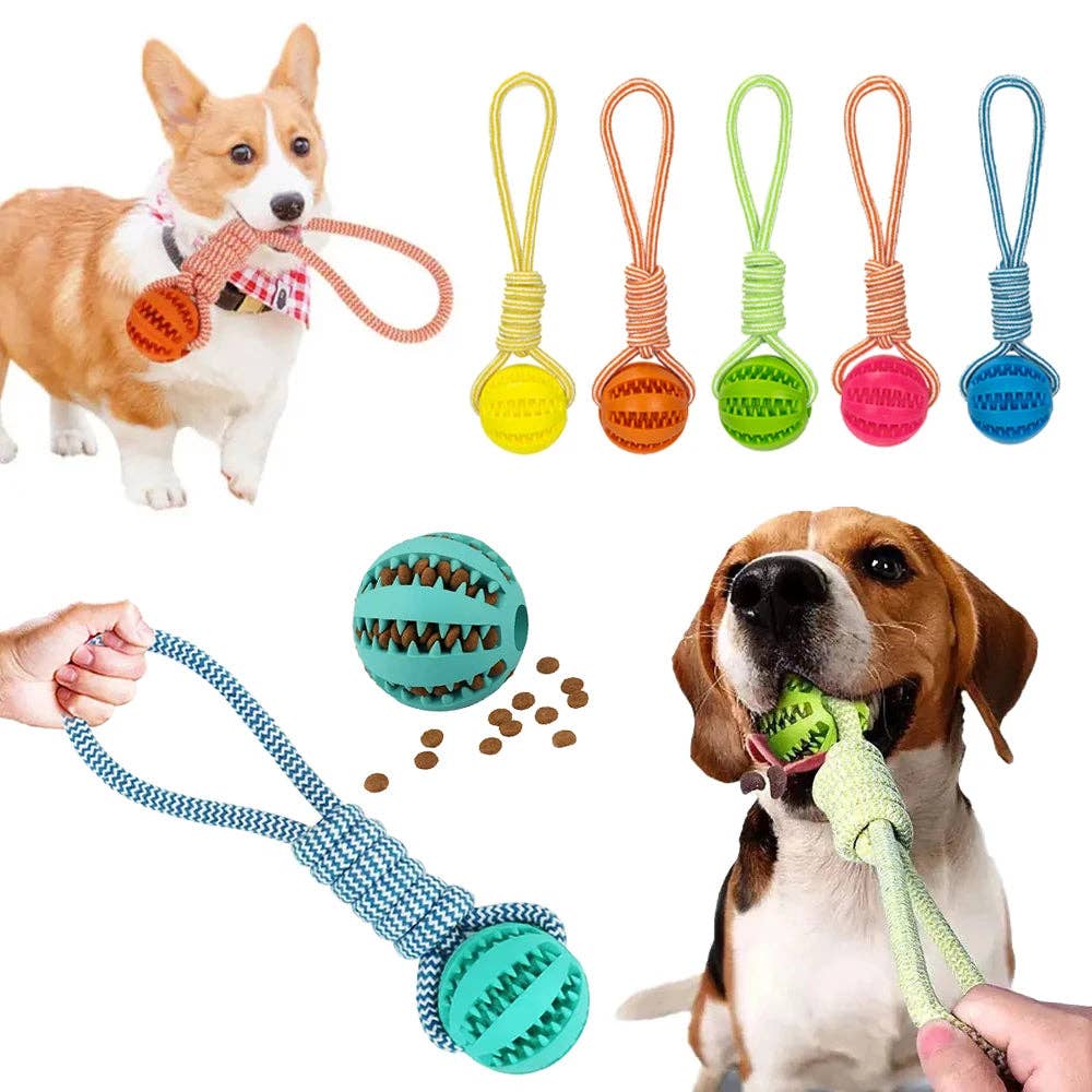 Dog Ball Toy with Rope Interactive