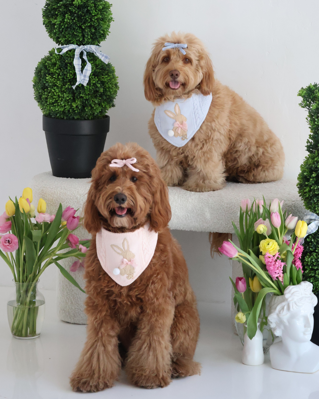 SPRING DOG BANDANA | MARLOWE