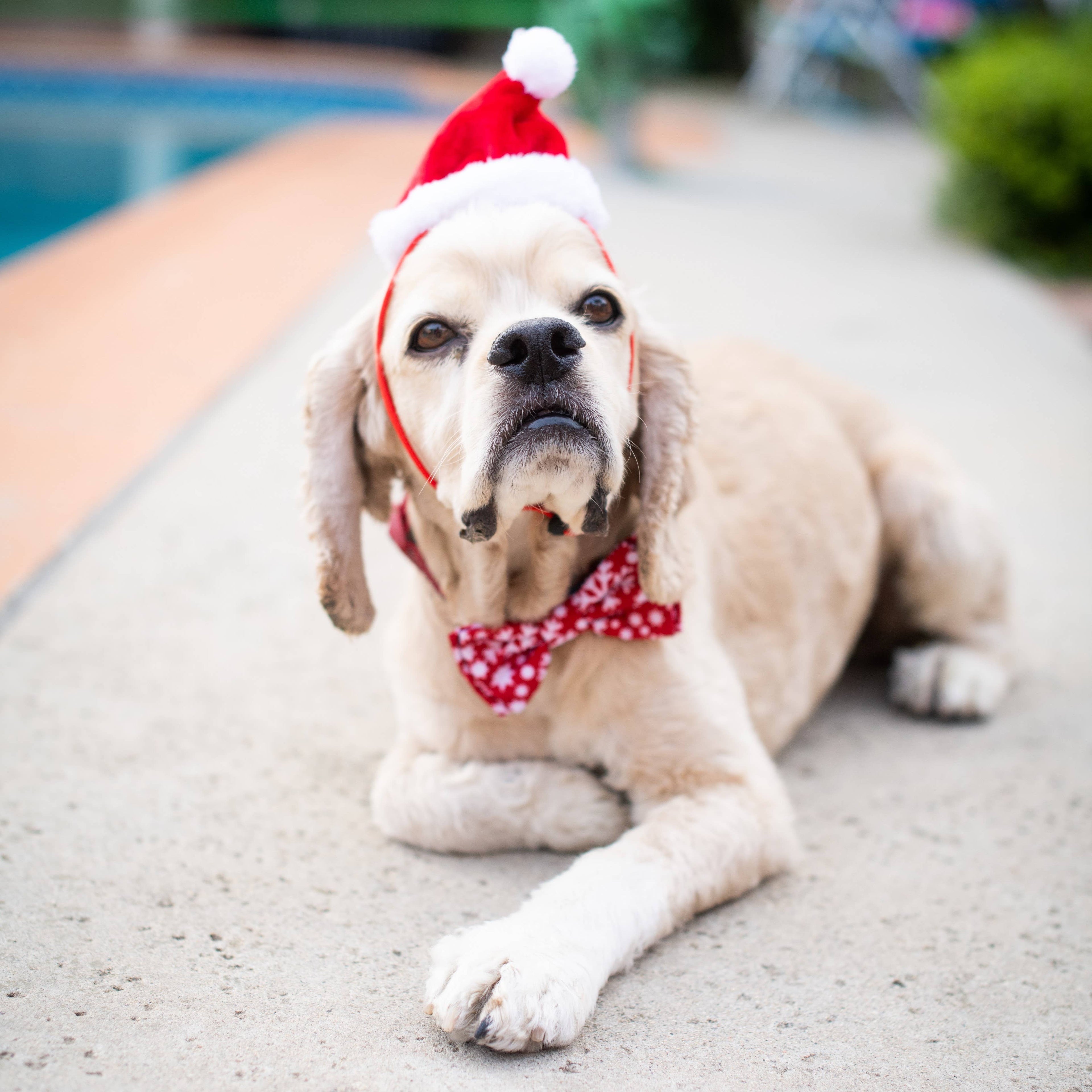 H&K Hat Santa with SnugFit®