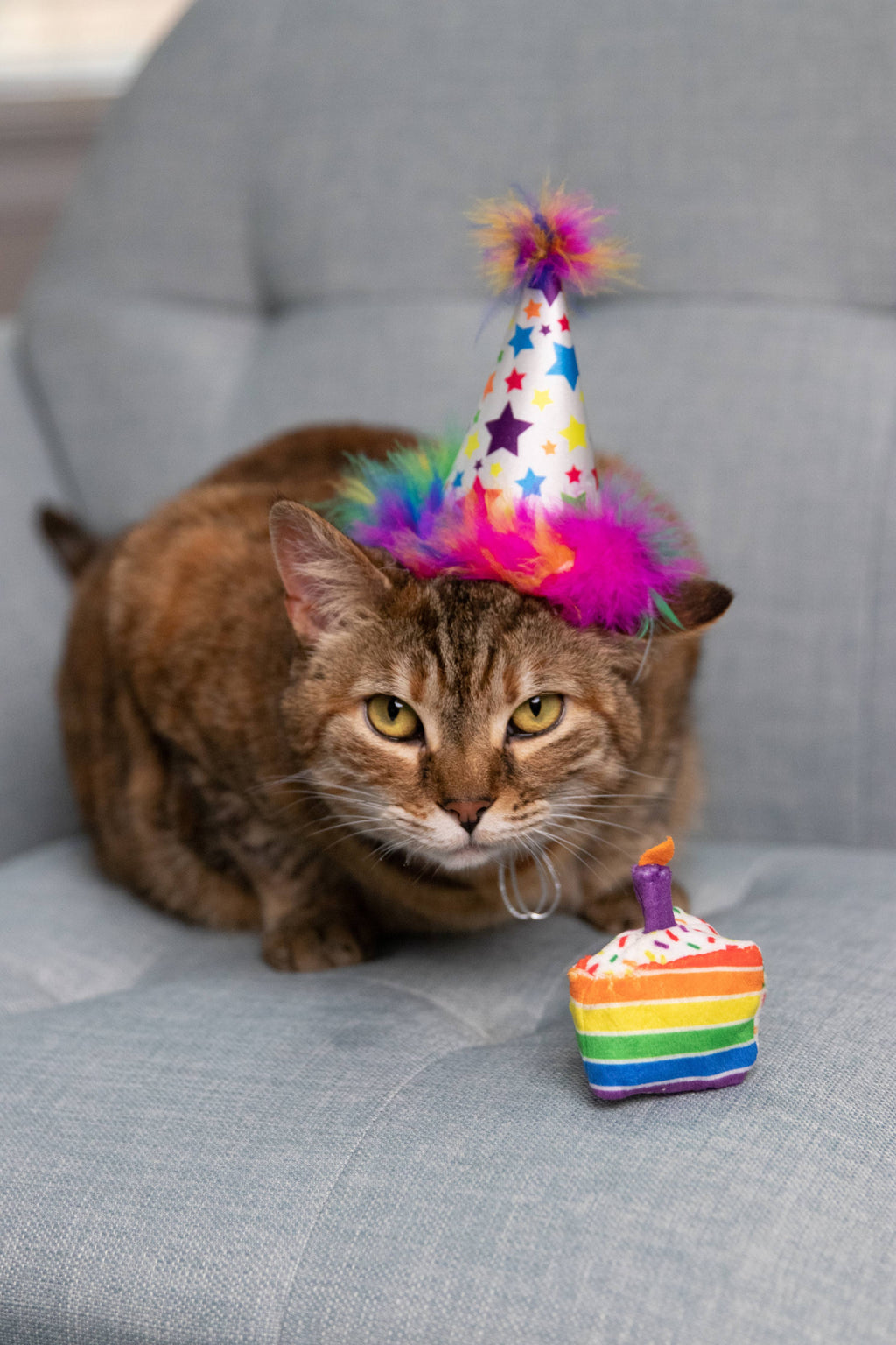Funfetti Cake Cat Toy