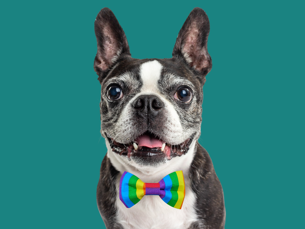 Rainbow Stripes Pride Bow Tie
