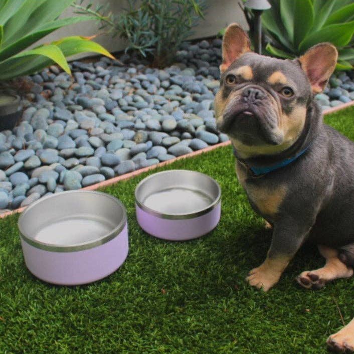 Stainless Steel Pet Food/Water Bowl - Dishwasher Safe