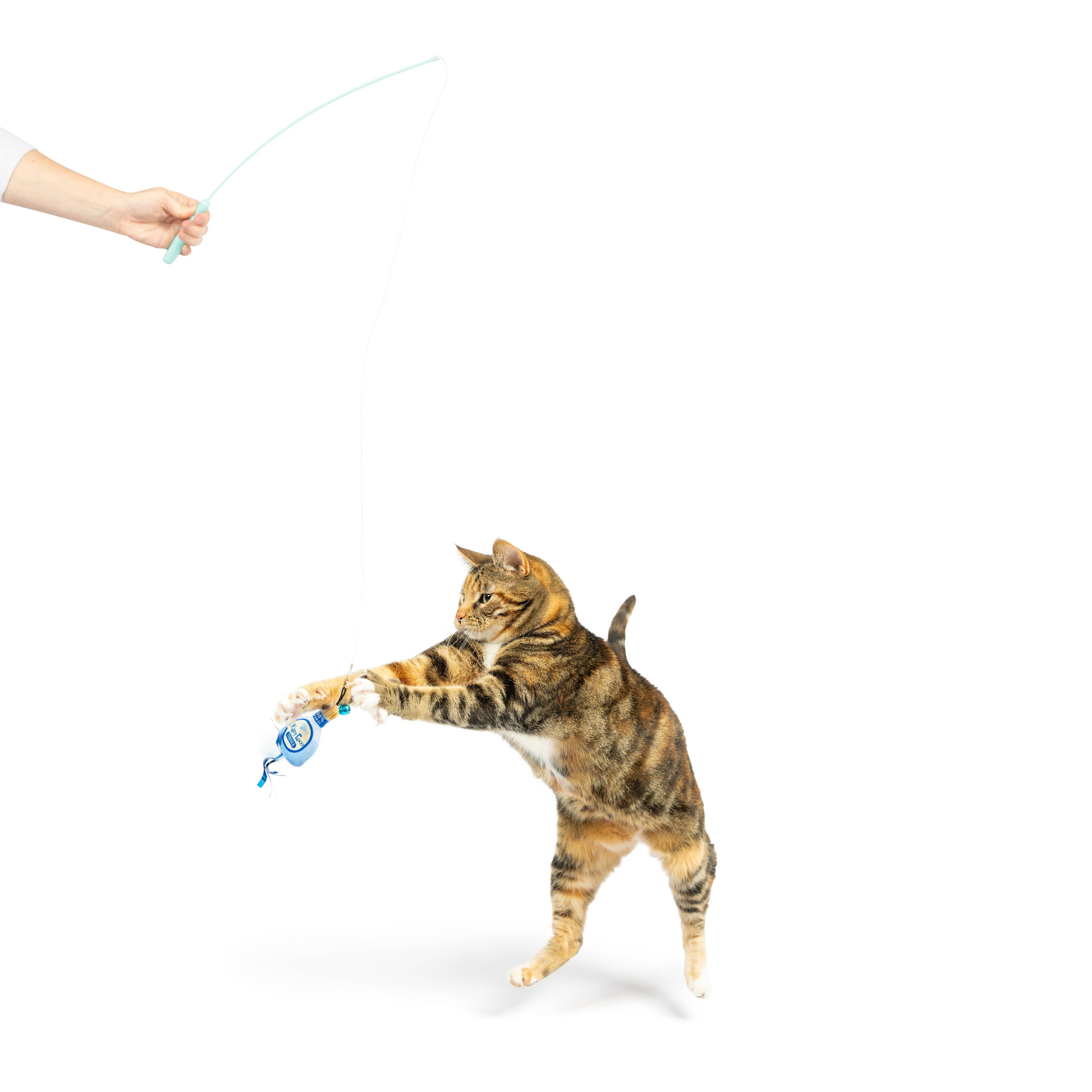 Teaser Kitty Loco Cat Wand