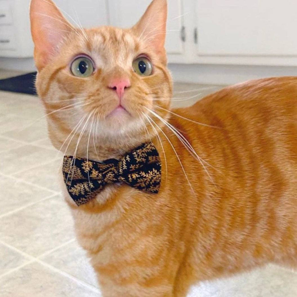 Black Forest Bow Tie