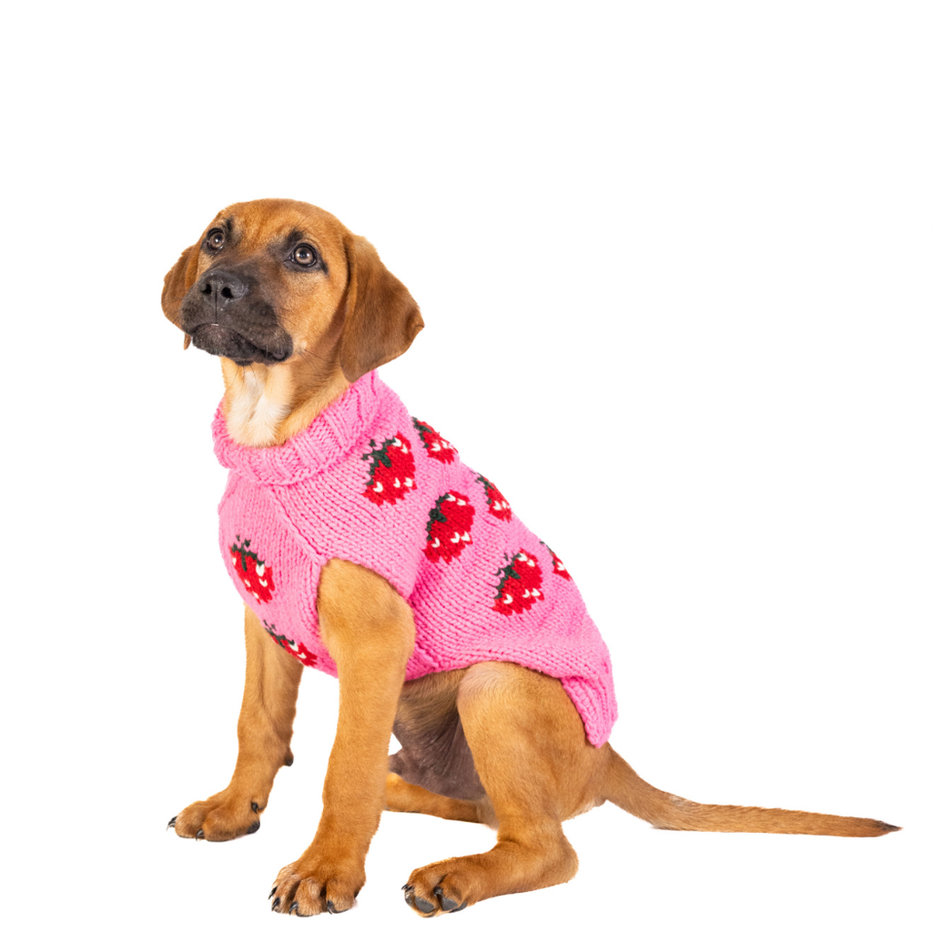Chilly Dog Strawberry Dog & Cat Sweater