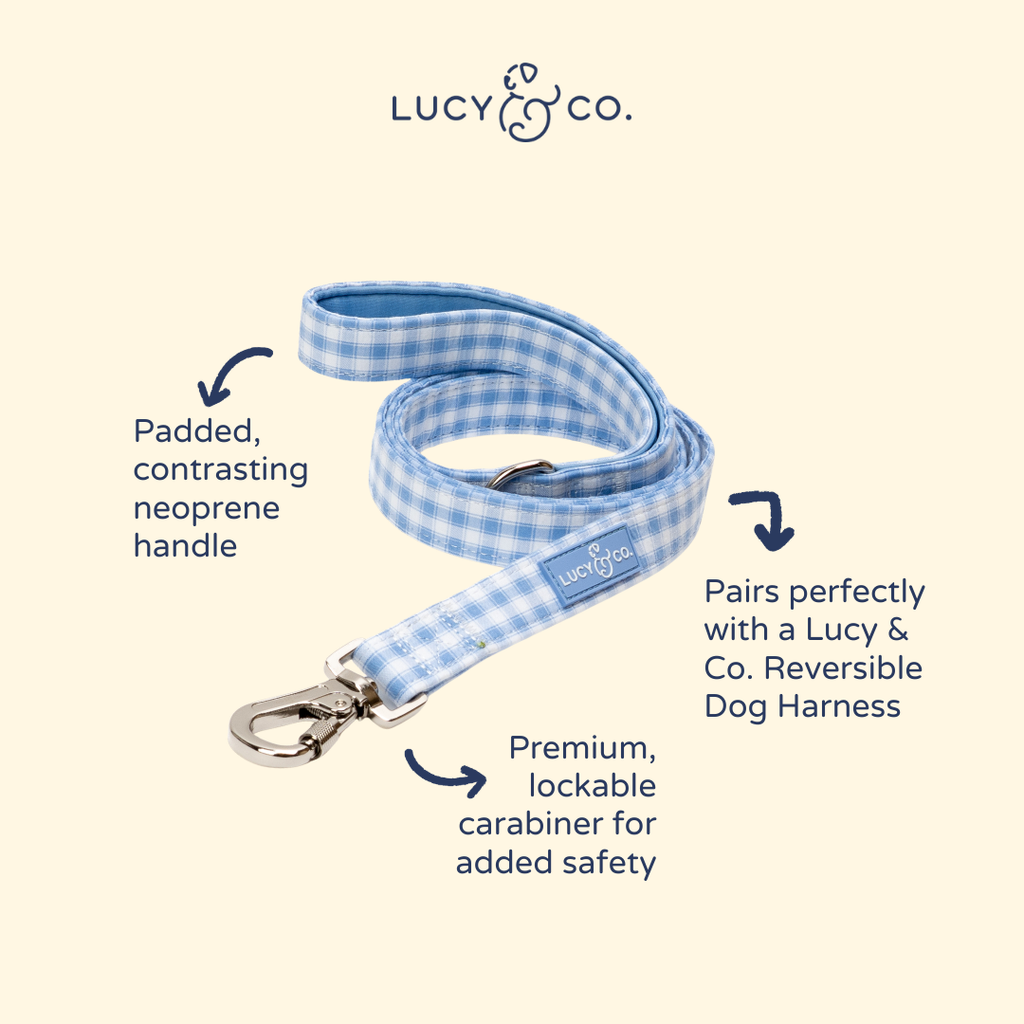 Silly Goose Leash