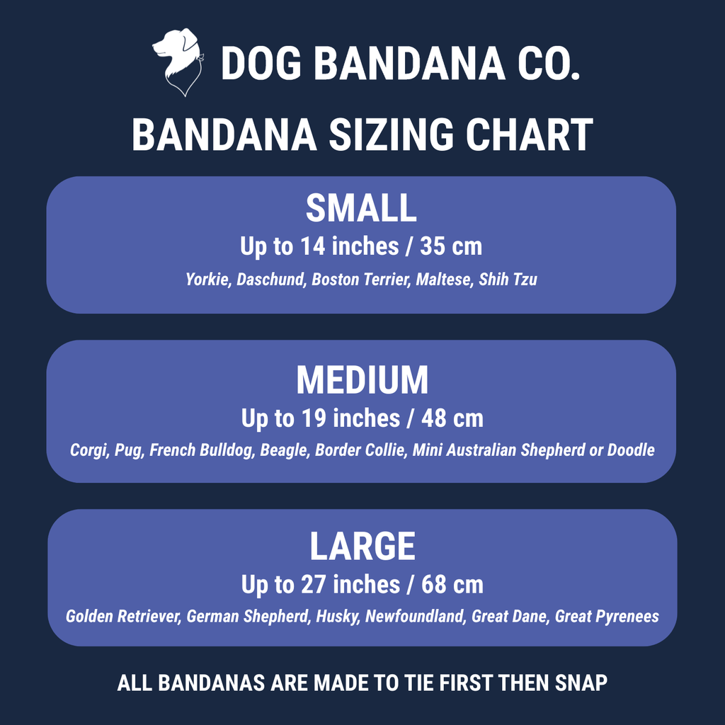 Summer Beach Double Sided Tie Snap Dog Bandana