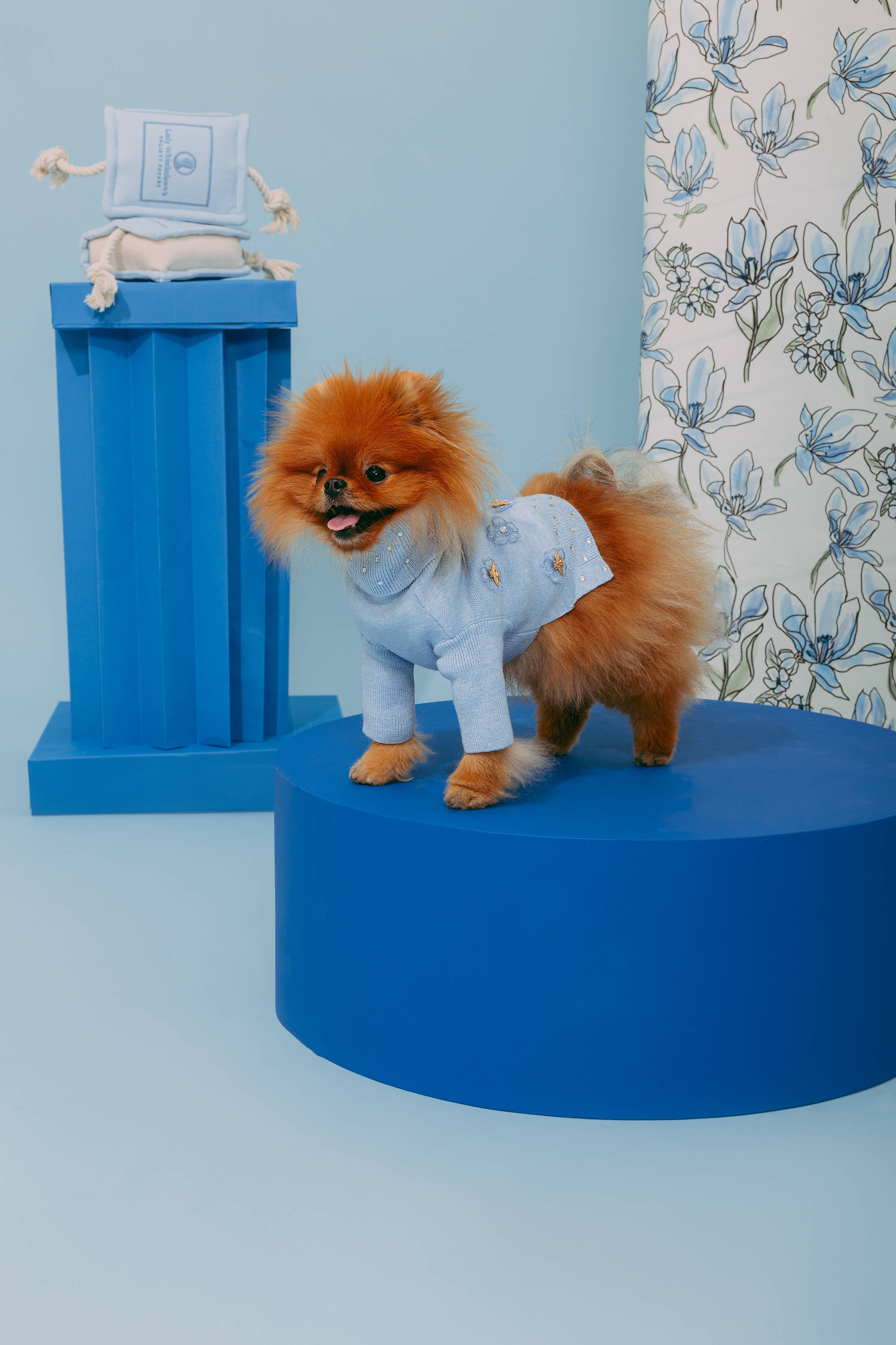 Bridgerton x maxbone Jumper for Dogs: Large