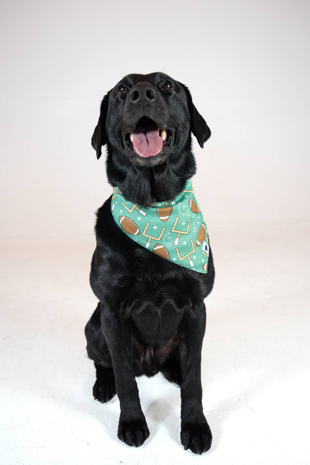 Football & Baseball Dog Bandana