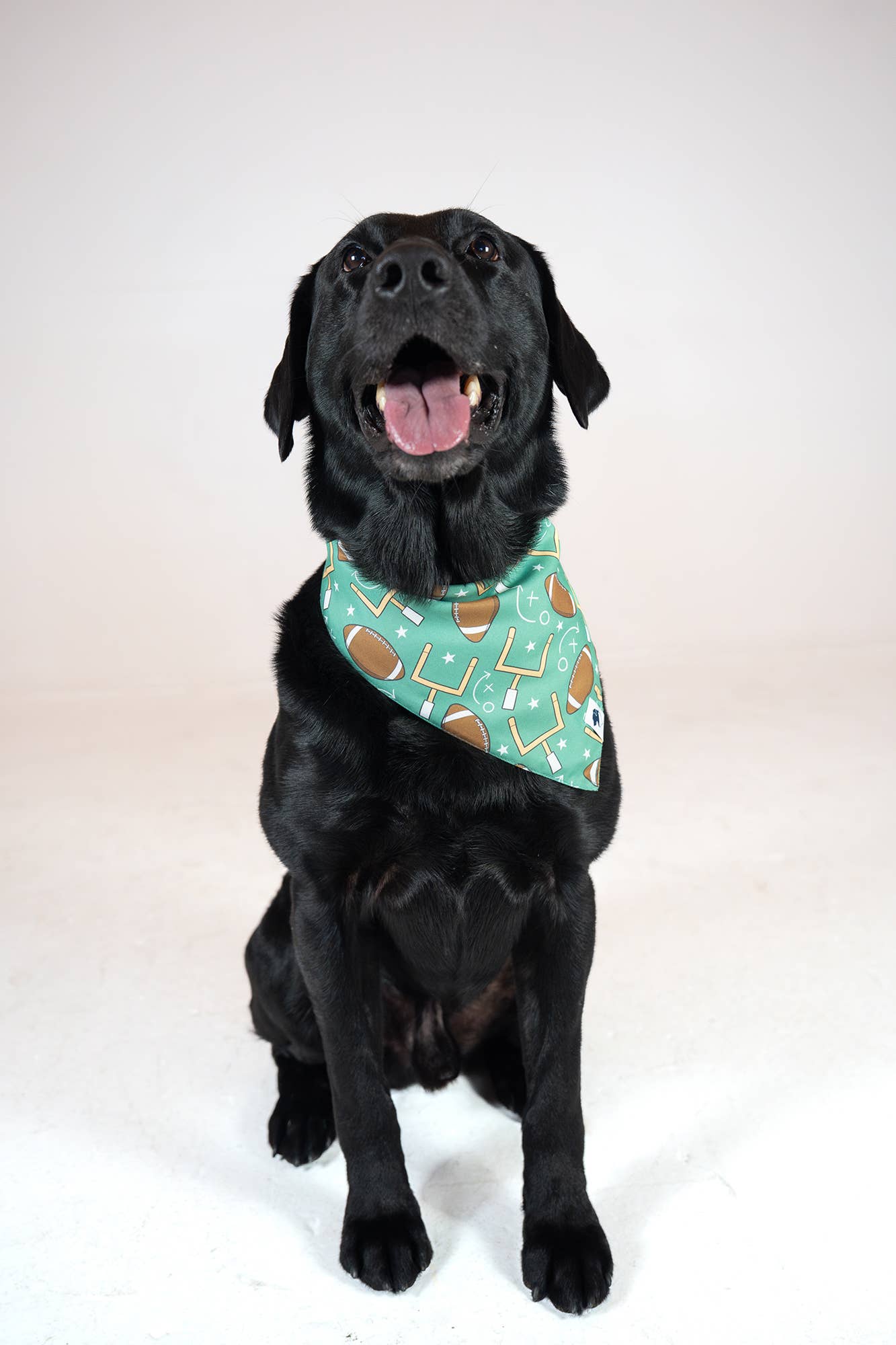 Football & Baseball Dog Bandana