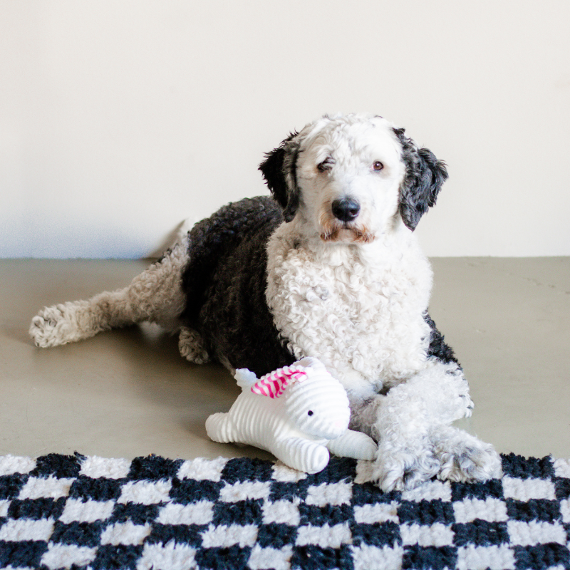 Midlee Stripe Ears White Easter Rabbit Dog Toy
